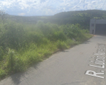 Morador denuncia mato alto no prolongamento Walchir Rezende em Divinópolis