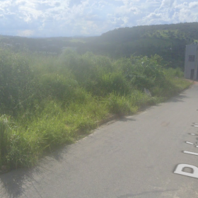 Morador denuncia mato alto no prolongamento Walchir Rezende em Divinópolis