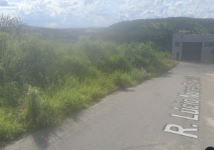 Morador denuncia mato alto no prolongamento Walchir Rezende em Divinópolis