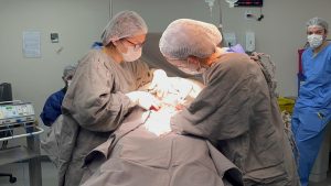 Fhemig&nbsp;e UFMG firmam parceria para desenvolver intelig&ecirc;ncia artificial voltada &agrave; preven&ccedil;&atilde;o da hemorragia&nbsp;p&oacute;s-parto