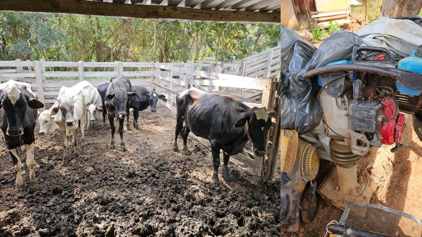 Homem é preso com cabeças de gado e R$ 100 mil em materiais furtados em Carmo do Cajuru