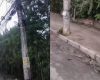 Prefeitura notifica Cemig após fios soltos em Divinópolis