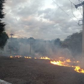 Queimadas afetaram fornecimento de energia para mais de meio milhão de clientes da Cemig em 2025