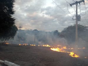 Queimadas afetaram fornecimento de energia para mais de meio milh&atilde;o de clientes da Cemig em 2025
