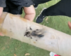 Adolescente é apreendido suspeito de atacar atletas com fogos de artifício na Pampulha, em BH