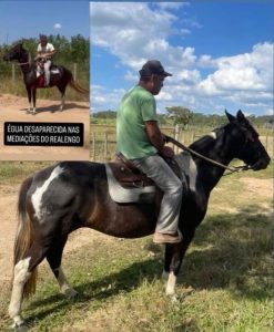 Fam&iacute;lia pede apoio para encontrar &eacute;gua desaparecida em Divin&oacute;polis
