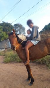 Cavalo desaparece na Fazenda do Caf&eacute; e segue sem paradeiro