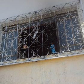 Cabeça de gato é encontrada em janela de casa no Centro de Divinópolis