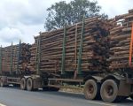 DER-MG restringe circulação de veículos de carga acima de 57 toneladas na MGC-259 entre Curvelo e Felixlândia
