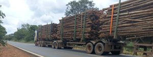 DER-MG restringe circula&ccedil;&atilde;o de ve&iacute;culos de carga acima de 57 toneladas na MGC-259 entre Curvelo e Felixl&acirc;ndia