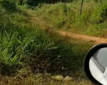 Morador denuncia abandono e mato alto em quarteirão da rua Bom Sucesso, em Divinópolis