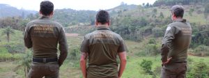 Desmatamento da Mata Atlântica cai no Brasil e Minas mantém redução nos últimos anos
