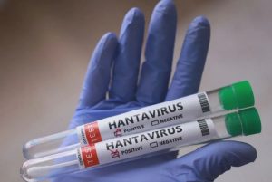Minas registra primeira morte por hantavírus no Brasil