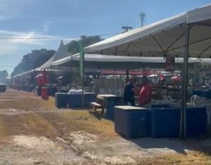 Acompanhe ao vivo a transmissão da Queima do Alho