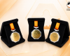 Câmara de Divinópolis divulga homenageados com a Medalha Candidés 2026