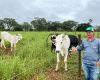 Agro + Verde recupera 3.300 hectares no oeste de Minas Gerais