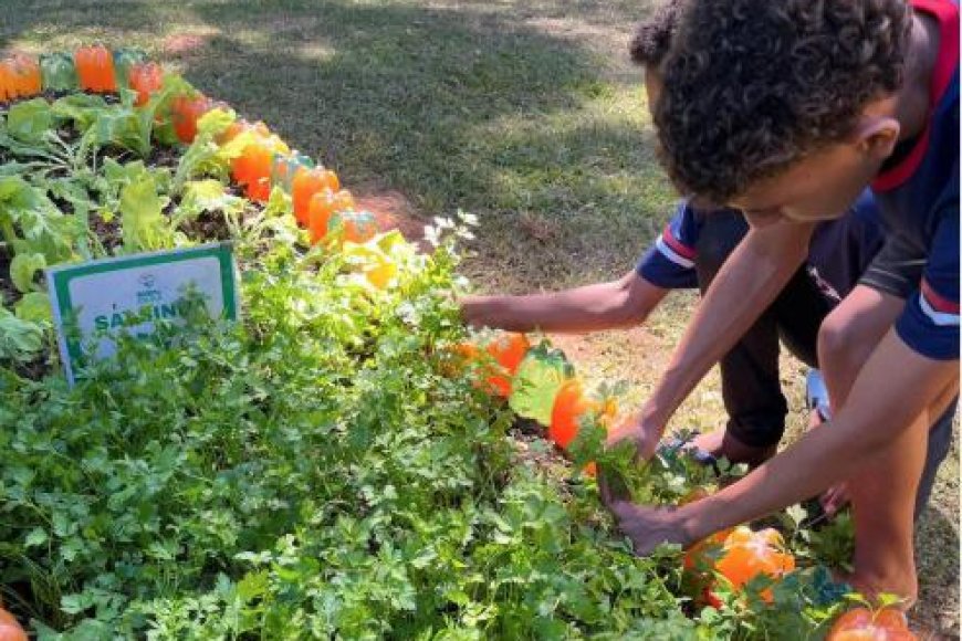 Agro na Escola une educação e prática no campo em…