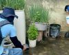 LIRAa aponta redução da infestação, mas alerta que maioria dos focos do Aedes continua dentro das residências