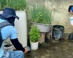 LIRAa aponta redução da infestação, mas alerta que maioria dos focos do Aedes continua dentro das residências
