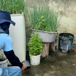 LIRAa aponta redu&ccedil;&atilde;o da infesta&ccedil;&atilde;o, mas alerta que maioria dos focos do Aedes continua dentro das resid&ecirc;ncias