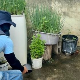 LIRAa aponta redução da infestação, mas alerta que maioria dos focos do Aedes continua dentro das residências