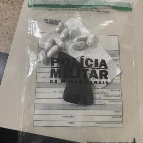 Meia com drogas e bilhete é encontrada em caixas de marmitas no Presídio Pio Canedo