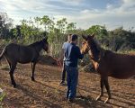 Polícia resgata burros presos pelos pés a uma árvore, em Carmo do Cajuru