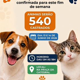 Ação de Castração Gratuita na Catedral de Divinópolis está mantida