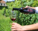 Vinhos de colheita de inverno de Minas Gerais são destaque no Decanter World Wine Awards 2026
