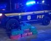 Mulheres são presas com mais de 130 kg de maconha na BR-262, em Bom Despacho