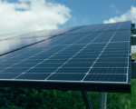 Cemig abre seleção para investir até R$ 50 milhões em energia solar com baterias no agronegócio mineiro