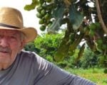 Produtor do Sul de Minas investe em macadâmia, com apoio da Emater-MG