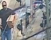 Sargento da PM atira em cachorro, vai à delegacia e é liberado