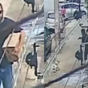 Sargento da PM atira em cachorro, vai &agrave; delegacia e &eacute; liberado