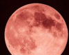 Lua de morango acontece na segunda (29) e ser&aacute; vis&iacute;vel no Brasil