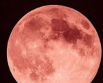 Lua de morango acontece na segunda (29) e será visível no Brasil
