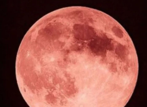 Lua de morango acontece na segunda (29) e será visível no Brasil