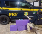 PRF apreende cerca de 93 kg de maconha após perseguição na BR-262 em Pará de Minas