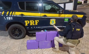 PRF apreende cerca de 93 kg de maconha após perseguição na BR-262 em Pará de Minas