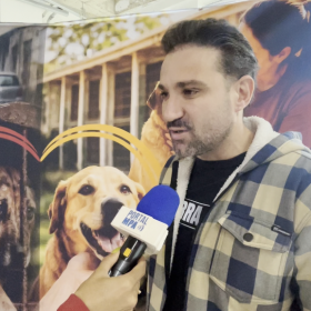 Junho Caramelo ganha força com castrações, feira de adoção e campanha contra maus-tratos aos animais