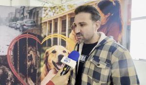 Junho Caramelo ganha força com castrações, feira de adoção e campanha contra maus-tratos aos animais