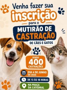 Ação de Castração Gratuita na Catedral de Divinópolis está mantida