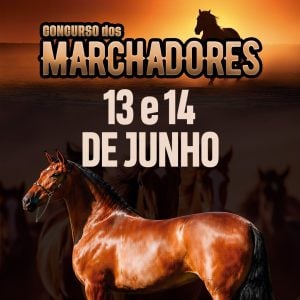 Carmo do Cajuru recebe Concurso dos Marchadores e espera até 200 animais no Parque de Exposições