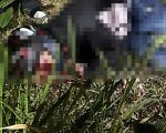 Homem morre e outro fica gravemente ferido em ataque a tiros em Divinópolis