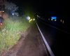 Motorista perde controle em curva na MG-050 e carro bate contra árvore em Itaúna