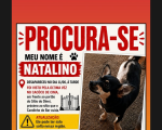 Desaparecido em Divinópolis: Ajude a encontrar o Natalino
