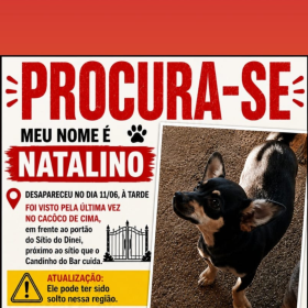 Desaparecido em Divinópolis: Ajude a encontrar o Natalino