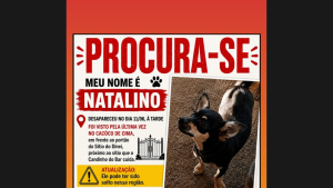 Desaparecido em Divin&oacute;polis: Ajude a encontrar o Natalino