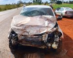 Motorista tenta desviar de cachorro e provoca acidente na MG-176, em Luz