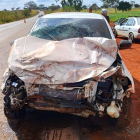 Motorista tenta desviar de cachorro e provoca acidente na MG-176, em Luz